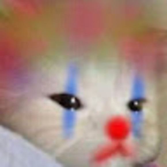 Meet your Posher, Smellyanne - Picture 1 of 1